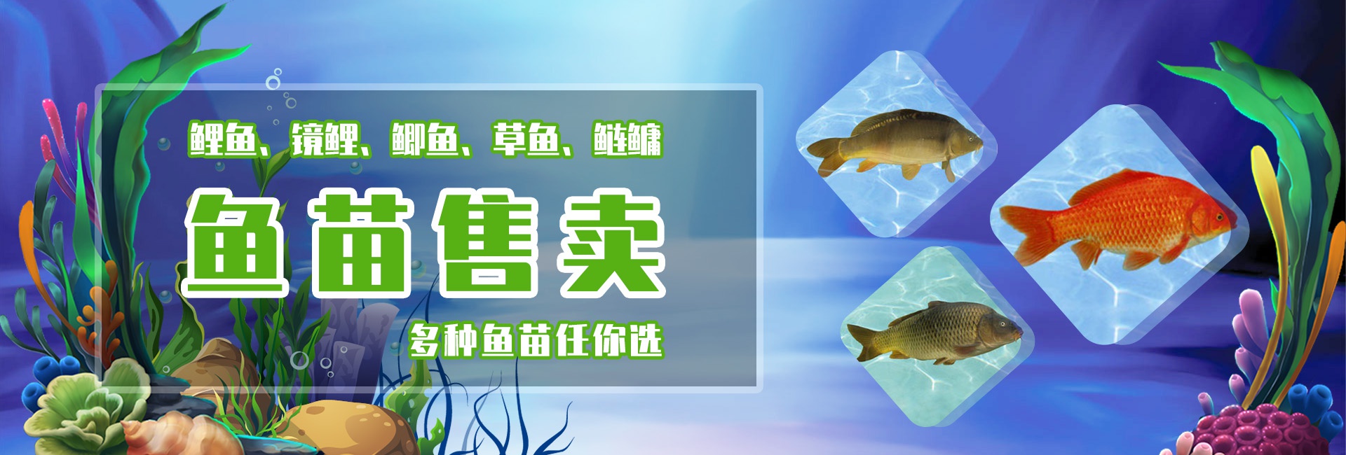 &#20048;&#40060;&#25163;&#26426;&#30331;&#24405;&#20837;&#21475;&#45;&#20048;&#40060;&#65288;&#20013;&#22269;&#65289;