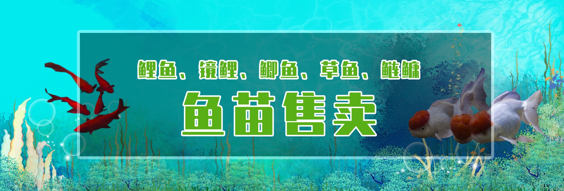 &#20048;&#40060;&#25163;&#26426;&#30331;&#24405;&#20837;&#21475;&#45;&#20048;&#40060;&#65288;&#20013;&#22269;&#65289;