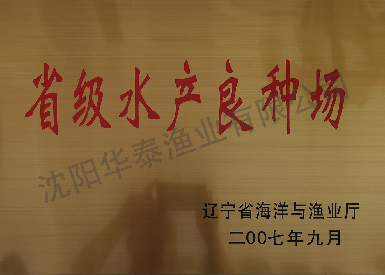 &#20048;&#40060;&#25163;&#26426;&#30331;&#24405;&#20837;&#21475;&#45;&#20048;&#40060;&#65288;&#20013;&#22269;&#65289;