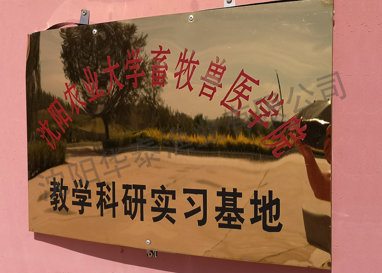 &#20048;&#40060;&#25163;&#26426;&#30331;&#24405;&#20837;&#21475;&#45;&#20048;&#40060;&#65288;&#20013;&#22269;&#65289;